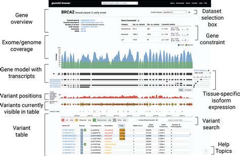genomad|gnomAD v2.1 .